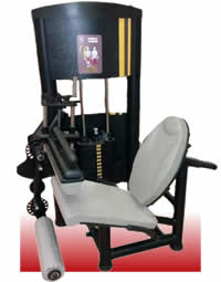 Cadeira Extensora\Flexora MAC 60K (Sigma)